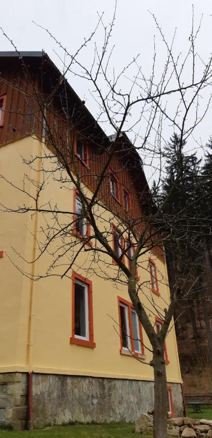 דירות Altenberg Haus Stefanie Elvire מראה חיצוני תמונה