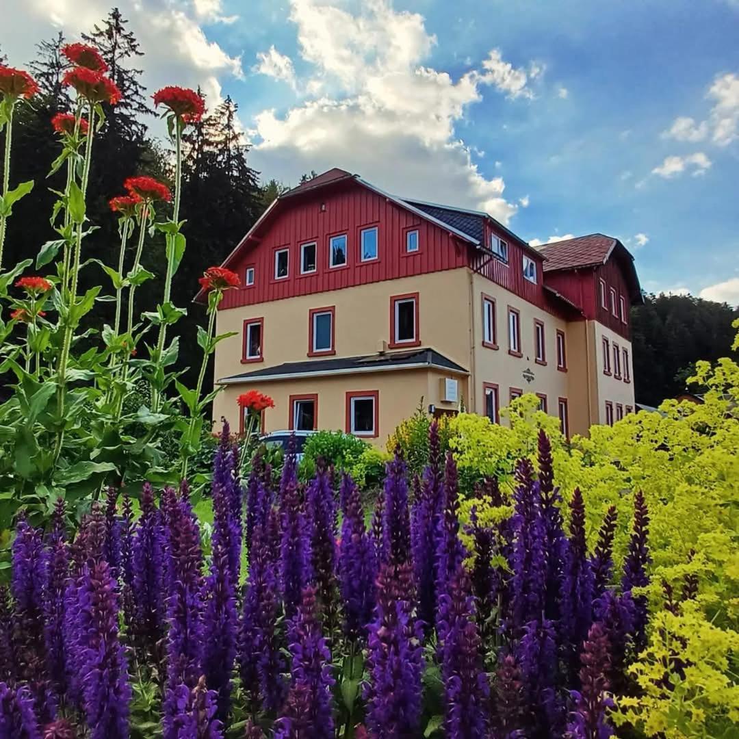 דירות Altenberg Haus Stefanie Elvire מראה חיצוני תמונה